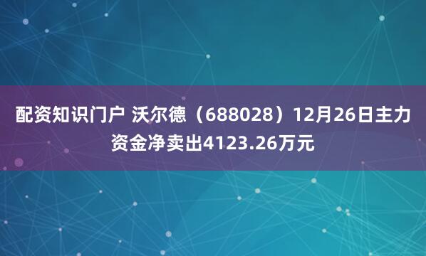 配资知识门户 沃尔德（688028）12月26日主力资金净卖出4123.26万元