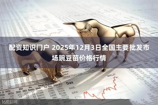 配资知识门户 2025年12月3日全国主要批发市场豌豆苗价格行情