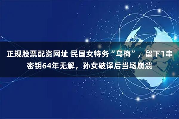 正规股票配资网址 民国女特务“乌梅”，留下1串密钥64年无解，孙女破译后当场崩溃